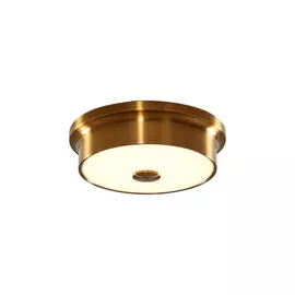 Светильник потолочный Citilux Фостер-2 CL706212