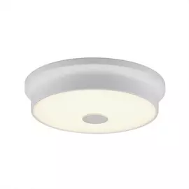 Светильник потолочный Citilux Фостер-2 CL706220