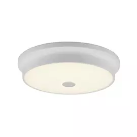 Светильник потолочный Citilux Фостер-2 CL706230