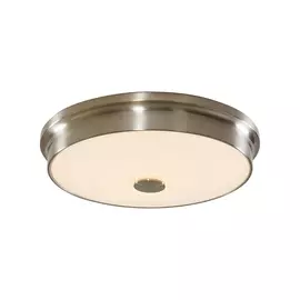 Светильник потолочный Citilux Фостер-2 CL706231