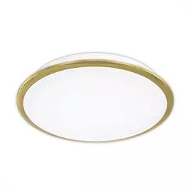 Светильник потолочный Citilux Старлайт с пультом CL70332