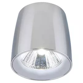 Светильник потолочный Divinare 1312/02 PL-1