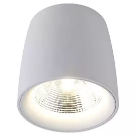 Светильник потолочный Divinare 1312/03 PL-1