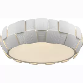 Светильник потолочный Divinare 1317/01 PL-6