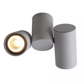 Светильник потолочный Divinare 1354/03 PL-2