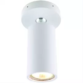 Светильник потолочный Divinare 1968/03 PL-1 белый