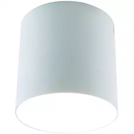 Светильник потолочный Divinare 1465/03 PL-1 белый