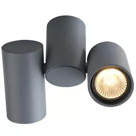 Светильник потолочный Divinare 1354/05 PL-2 серый