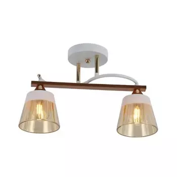 Светильник потолочный Freya FR5156PL-02WG