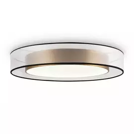 Светильник потолочный Freya Zoticus FR6005CL-L48G