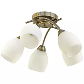 Светильник потолочный Guanhua 79874/5