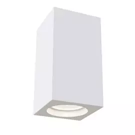 Светильник потолочный Maytoni C005CW-01W