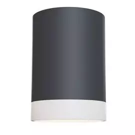 Светильник потолочный Maytoni C008CW-01B