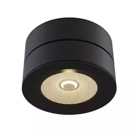 Светильник потолочный Maytoni C023CL-L20B