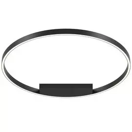 Светильник потолочный Maytoni Rim MOD058CL-L50B4K