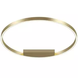 Светильник потолочный Maytoni Rim MOD058CL-L50BS4K