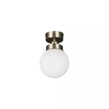 Светильник потолочный накладной Freya FR5339CL-01N