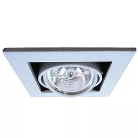 Светильник потолочный поворотный Artelamp A5930PL-1SI