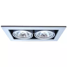 Светильник потолочный поворотный Artelamp A5930PL-2SI
