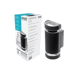 Светильник садово-парковый Gauss Enigma настенный архитектурный, 2xGU10, 100х105х245mm