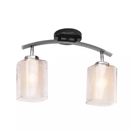 Светильник Silver Light 254.59.2