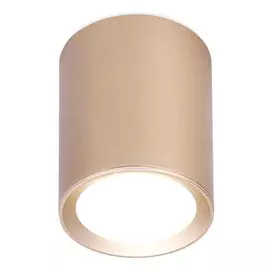 Светильник точечный Ambrella light tn216 gd/s d56х70