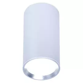 Светильник точечный Ambrella light tn219 sl/s d56х100