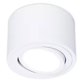 Светильник точечный Ambrella light tn222 wh/s d80х50