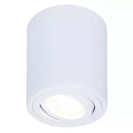 Светильник точечный Ambrella light tn225 wh d80х100