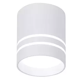 Светильник точечный Ambrella light tn240 wh/s 12w d80х100