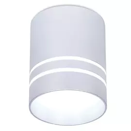 Светильник точечный Ambrella light tn241 sl/s 12w d80х100