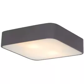 Светилник настенно-потолочный Artelamp A7210PL-2BK