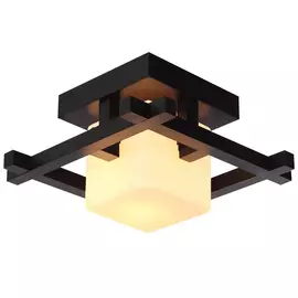 Светилник настенно-потолочный Artelamp A8252PL-1CK