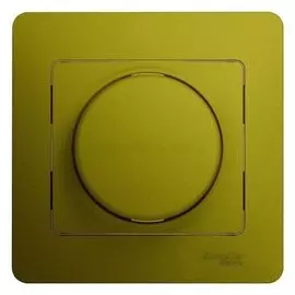 Светорегулятор Schneider Electric Glossa 60-300 Вт фисташковый