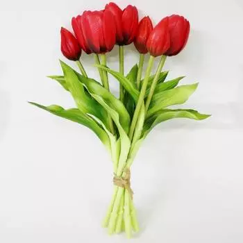 Связка тюльпанов Конэко-О KR_10148 30 см 7 шт