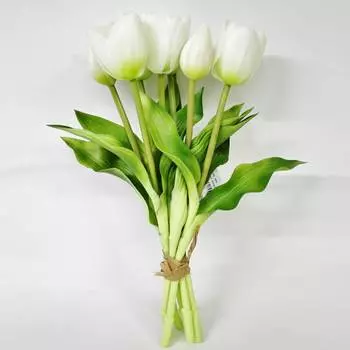 Связка тюльпанов Конэко-О KR_10149 30 см 7 шт