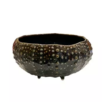 Тарелка Veles Морской ёж Полночь волшебства глубокая 350 мл