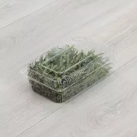 Тархун свежий, кг