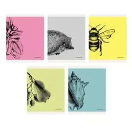 Тетрадь Даринчи "Яркая гравюра"