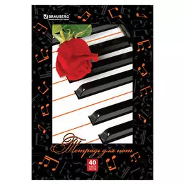 Тетрадь для нот Brauberg А4 40 л в ассортименте