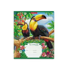 Тетрадь ErichKrause Экзотические птицы, 18 листов, линейка