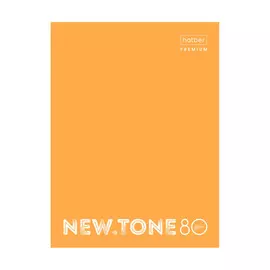 Тетрадь Hatber NEWtone NEON 80 л А4 на кольцах