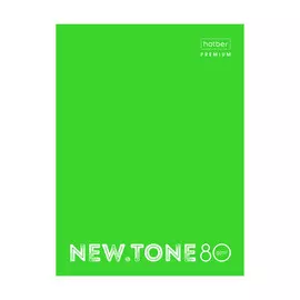 Тетрадь Hatber NEWtone NEON 80 л А5 на кольцах