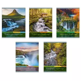 Тетрадь Канц-Эксмо Дыхание природы 96 л клетка