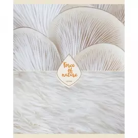 Тетрадь Канц-Эксмо Нежные нюансы 96 л клетка