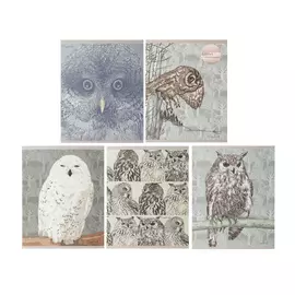 Тетрадь Канц-Эксмо Ночной полет 96 л клетка