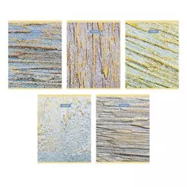 Тетрадь Канц-Эксмо Позолота 48 л клетка