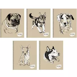 Тетрадь Канц-Эксмо Sketch dog А5 48 л клетка в ассортименте