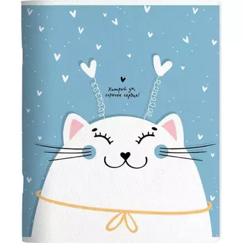 Тетрадь общая Be Smart, 165х203 мм, 48 л., клетка