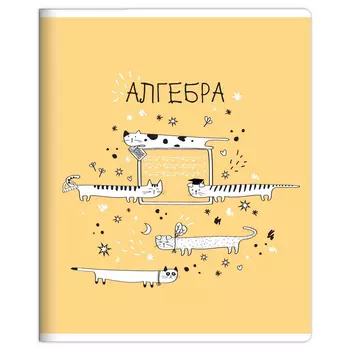 Тетрадь общая Be Smart Feed us алгебра 16,5x20,3 см 48 л в клетку